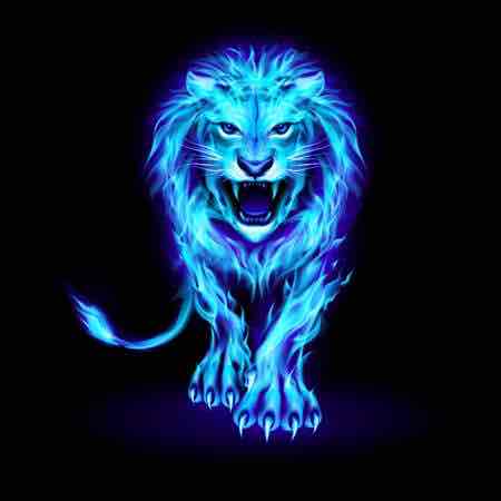 Lion - Blue Lion Logo Png, Transparent Png - 800x800(#2356199) - PngFind-cheohanoi.vn