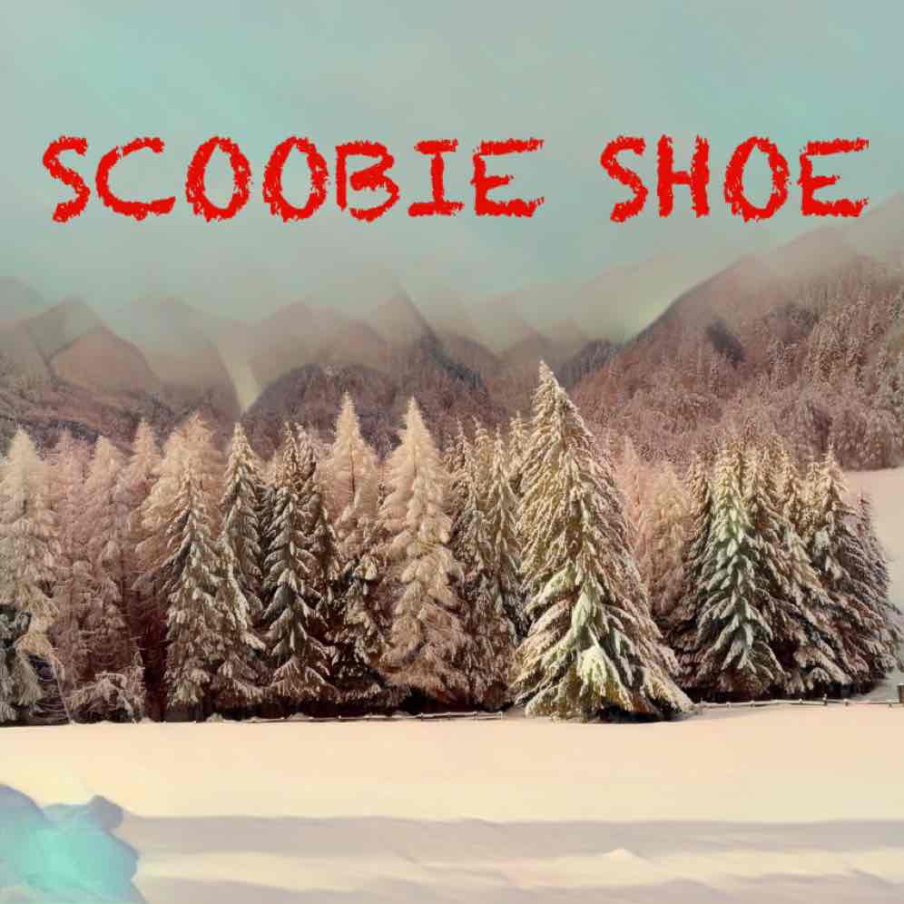 Scoobie Shoe – GANG